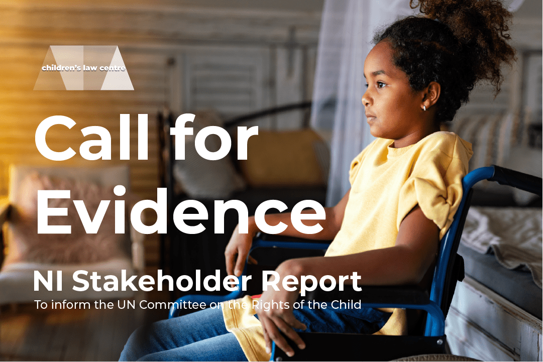 Call for Evidence: NI Stakeholder Report
