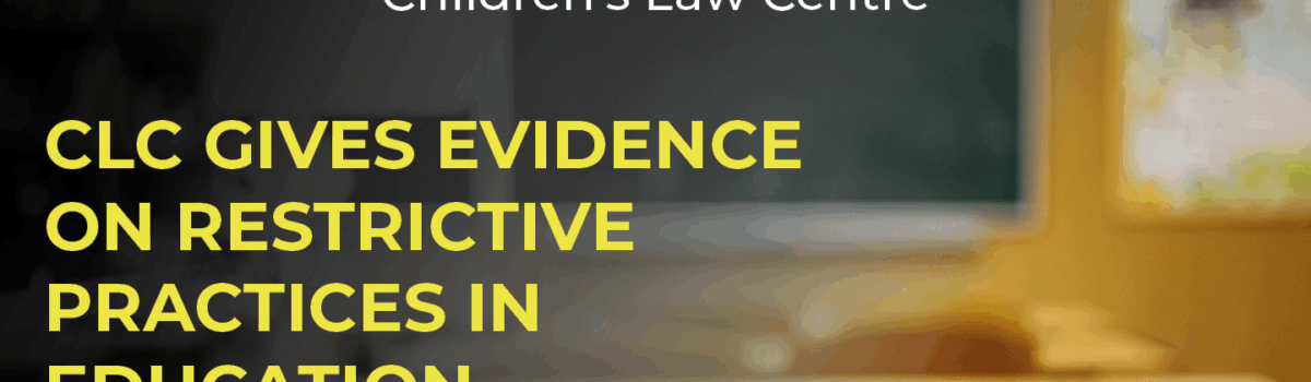 CLC Gives Evidence on Restrictive Practices in Education Settings