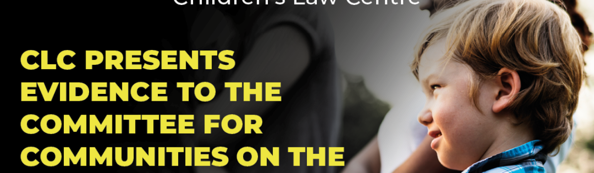 CLC Presents Evidence to the Committee for Communities on the Children’s Services Co‑operation Act